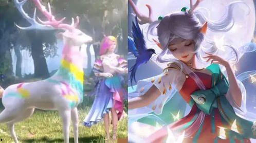 瑶妹典藏最新爆料,最新爆料背后的精彩故事