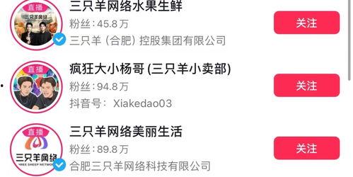 三只羊最新消息爆料,揭秘幕后故事与精彩瞬间